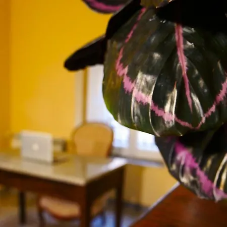 住宿加早餐酒店 Arte & Mare 帕蒂