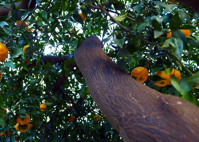 Arte & Mare 3* Patti